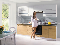 Apatinė spintelė (50cm) CRE-9D