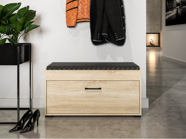 Batų Dėzė CARO 05 2 Batų Dėzė CARO 05 2