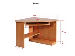 Darbo stalas CAREN