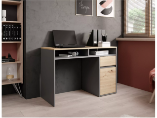 Darbo stalas B-012