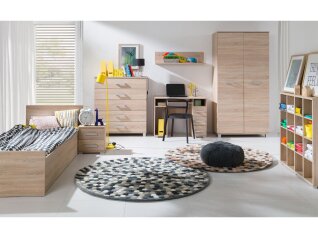 Darbo stalas MAXIMUS M31