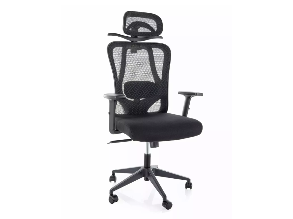 Ergonominė darbo kėdė Q-080