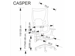 Ergonominė darbo kėdė CASPER