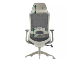 Ergonominė darbo kėdė ERGON