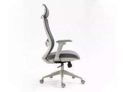 Ergonominė darbo kėdė ERGON