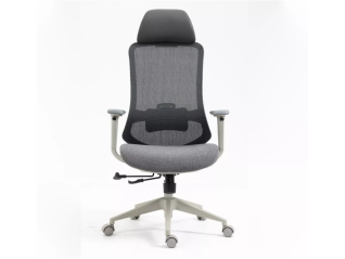 Ergonominė darbo kėdė ERGON
