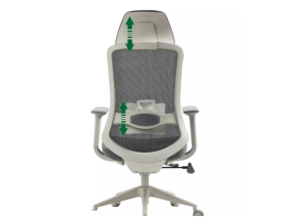 Ergonominė darbo kėdė ERGON