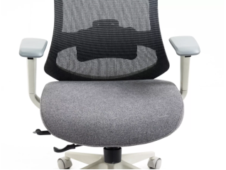 Ergonominė darbo kėdė ERGON
