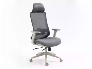Ergonominė darbo kėdė ERGON