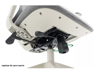 Ergonominė darbo kėdė ERGON