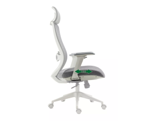 Ergonominė darbo kėdė ERGON