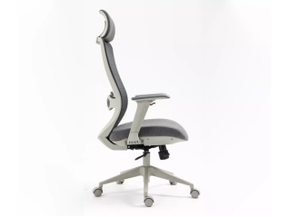 Ergonominė darbo kėdė ERGON