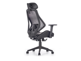 Ergonominė darbo kėdė HASEL
