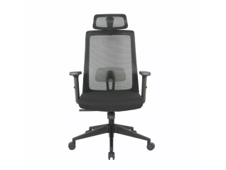 Ergonominė darbo kėdė Q-058