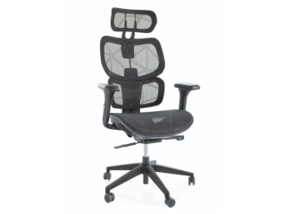 Ergonominė kėdė DEVON