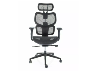 Ergonominė kėdė DEVON