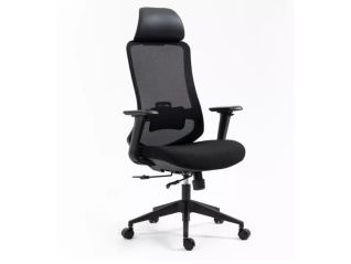 Ergonominė kėdė ERGON