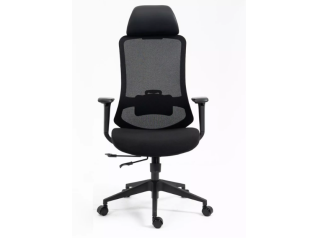 Ergonominė kėdė ERGON
