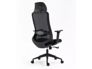 Ergonominė kėdė ERGON