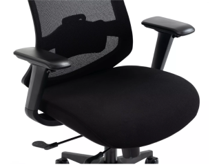 Ergonominė kėdė ERGON