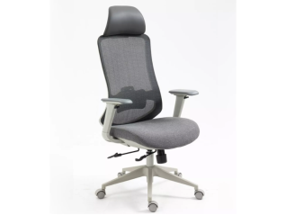 Ergonominė kėdė ERGON