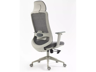 Ergonominė kėdė ERGON