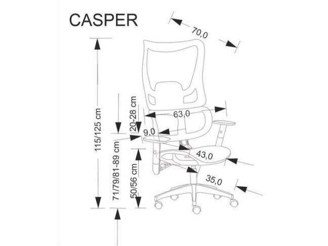 Ergonominė darbo kėdė CASPER 10