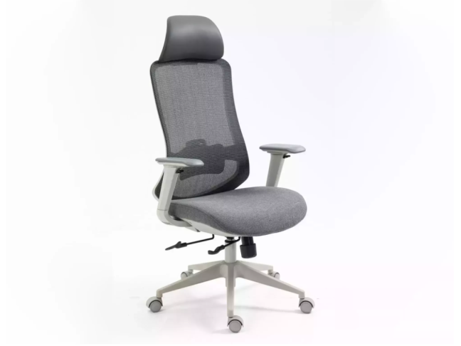 Ergonominė darbo kėdė ERGON