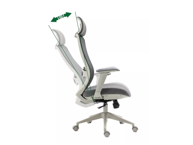 Ergonominė darbo kėdė ERGON 5