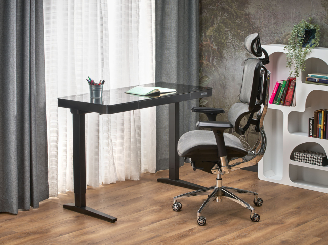 Ergonominė darbo kėdė ETHAN 12