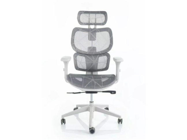 Ergonominė kėdė DEVON 5