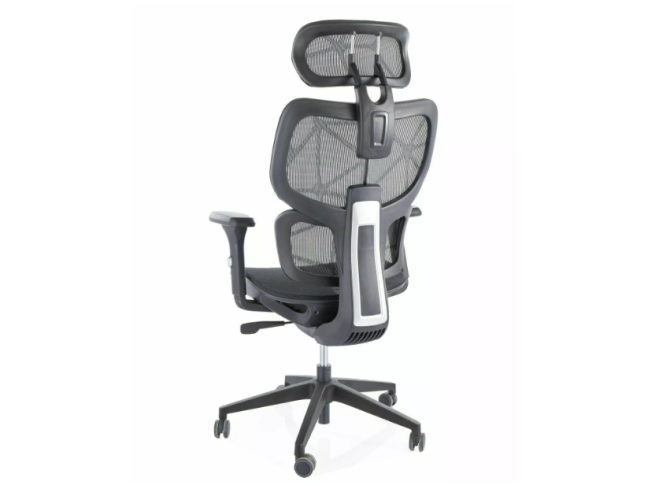 Ergonominė kėdė DEVON 3