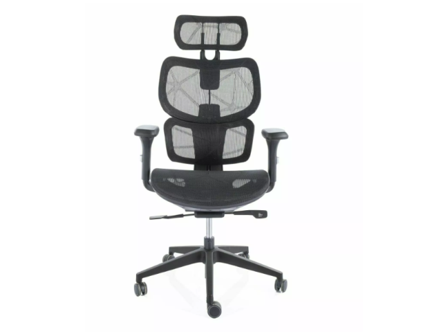 Ergonominė kėdė DEVON 1