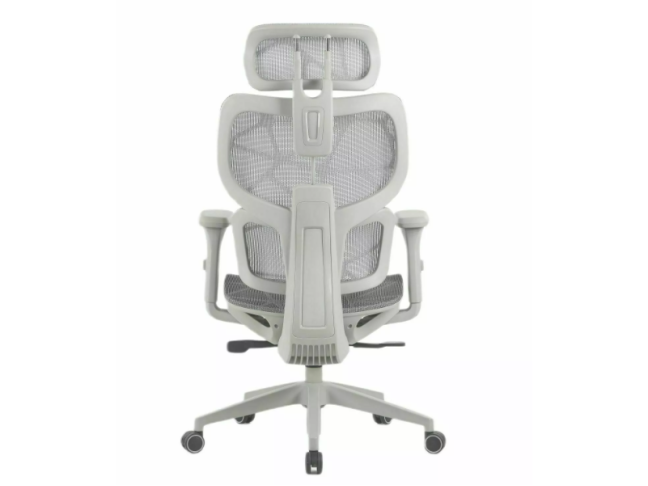 Ergonominė kėdė DEVON 6