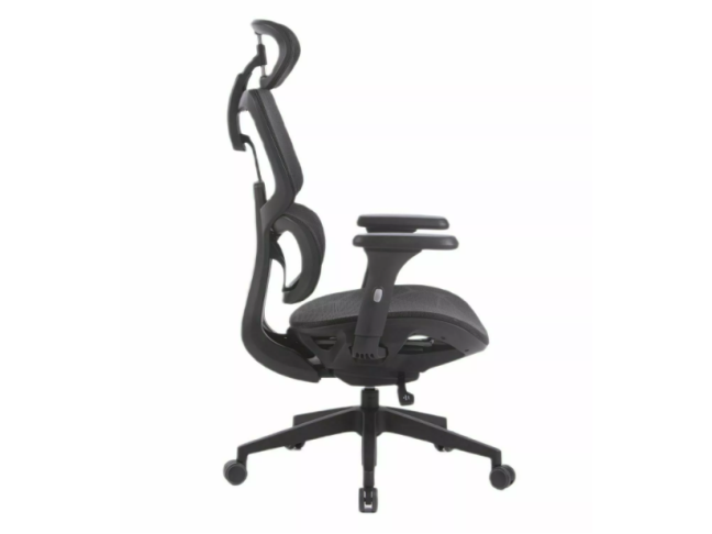 Ergonominė kėdė DEVON 2