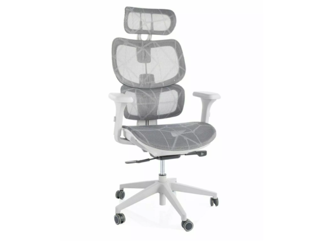 Ergonominė kėdė DEVON 4
