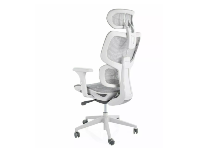 Ergonominė kėdė DEVON 8