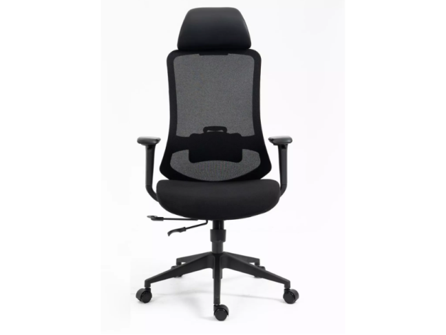 Ergonominė kėdė ERGON 2
