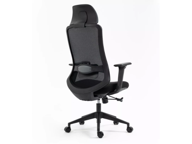 Ergonominė kėdė ERGON 3
