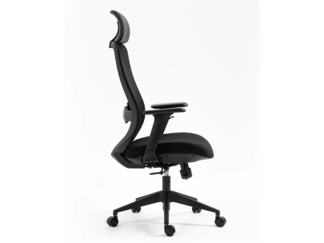 Ergonominė kėdė ERGON 1