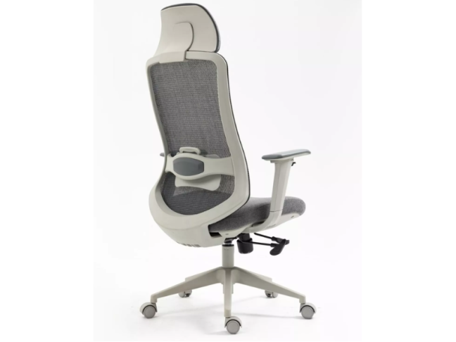 Ergonominė kėdė ERGON 6