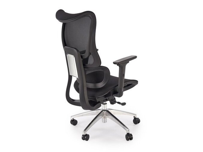 Ergonominė darbo kėdė CASPER 4