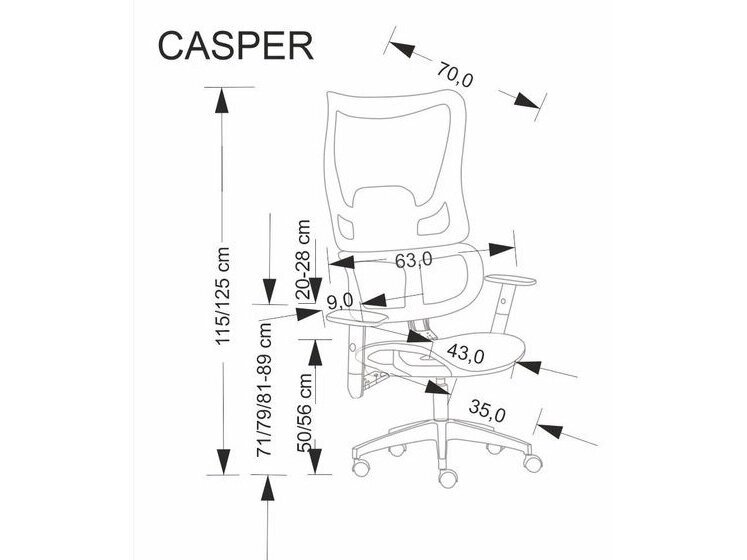 Ergonominė darbo kėdė CASPER 10 Ergonominė darbo kėdė CASPER 10
