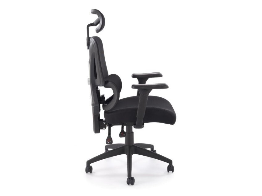 Ergonominė darbo kėdė ASTRAL 2 Ergonominė darbo kėdė ASTRAL 2