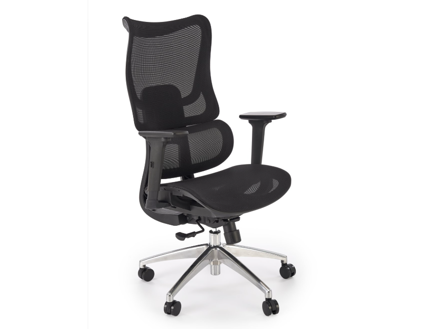 Ergonominė darbo kėdė CASPER