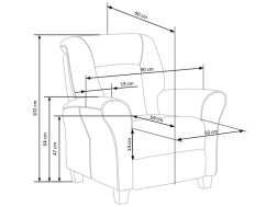Išskleidžiamas fotelis BARD