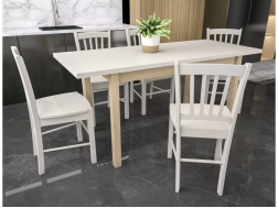 Išskleidžiamas stalas ADAM 120x68(160)