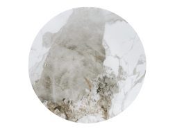 Kavos staliukas GENESIS - S