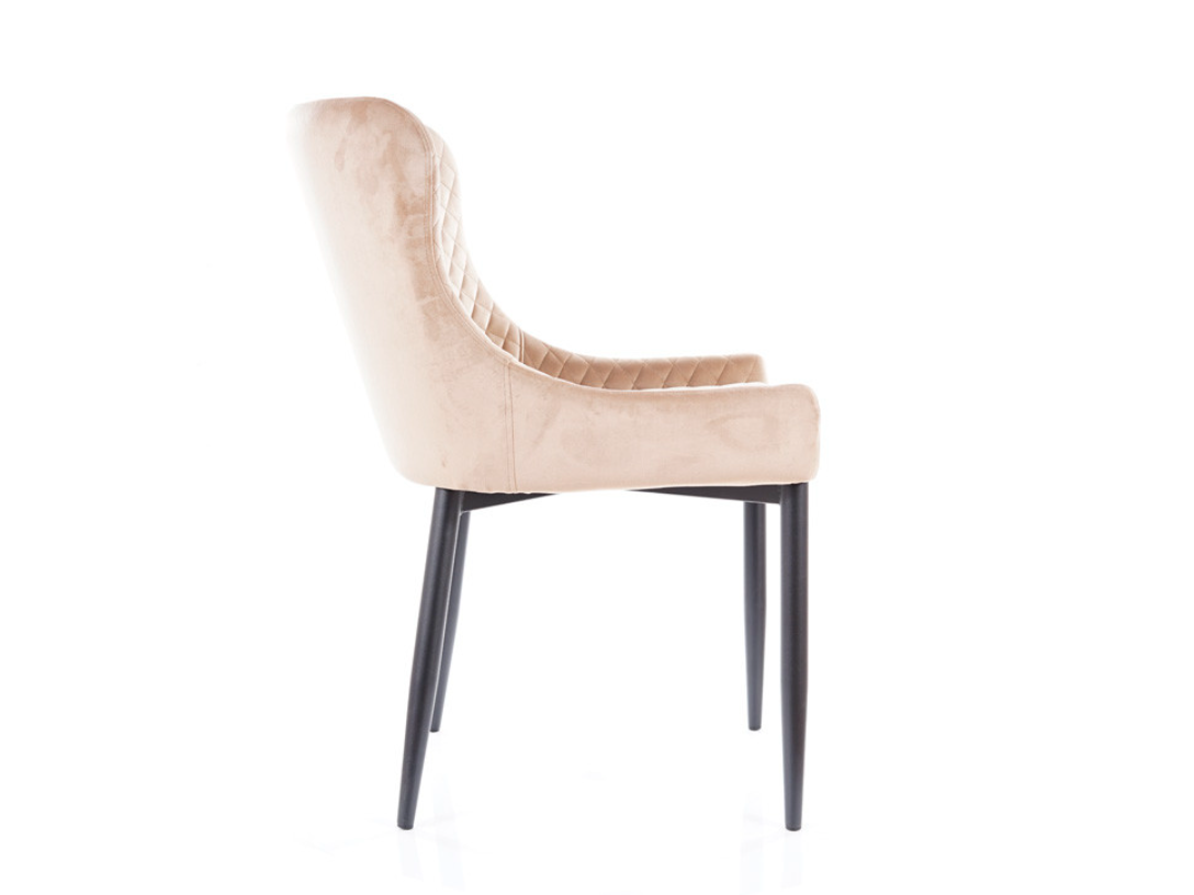 Kėdė COLIN B VELVET 2