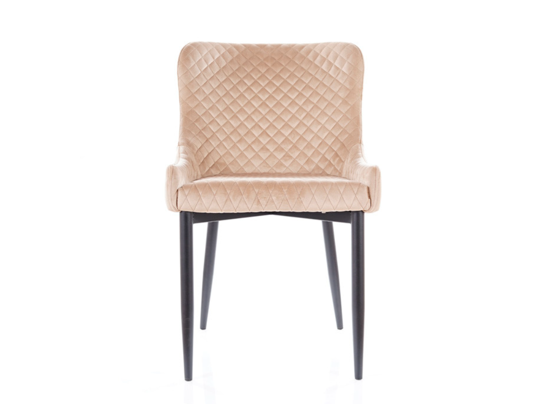 Kėdė COLIN B VELVET 1